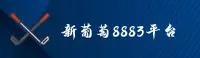 使用指南与常见问题